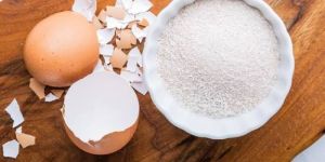Egg Shell Powder