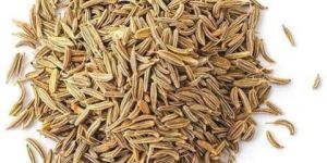 Cumin Seeds