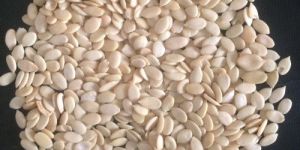 Tarbooj Seeds