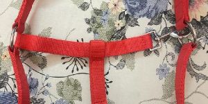 Nylon Horse Halter