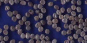 Process Round Diamond