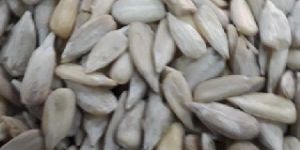 Dried Sunflower Seeds