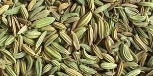 Fennel Seeds