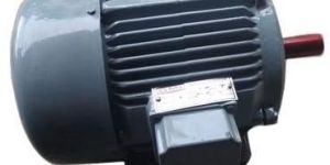 Electric Induction Motor