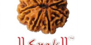 8 Mukhi Rudraksh Beads