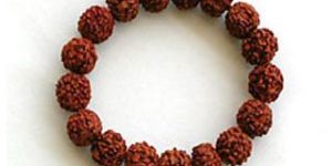 Rudraksh Bracelet