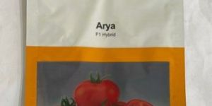 Tomato Seeds Nunhems Arya