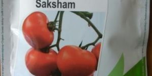 Tomato Saksham Seeds