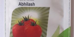 Seminis Abhilash Hybrid Tomato Seeds