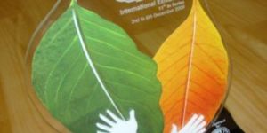 Business Acrylic Trophy