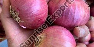 Fresh Pink Onion