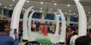 Air Inflatable Teeth Entry Gate