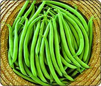 Sonia Bush Beans