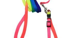 Rainbow Puppy Leash