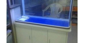 Fresh Water Fish Aquarium