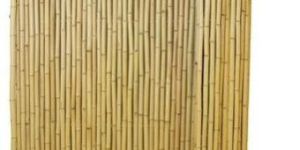 Natural Bamboo Fencing