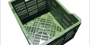 Plastic Tomato Crates