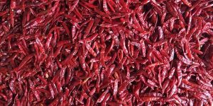 Byadgi Dried Red Chilli