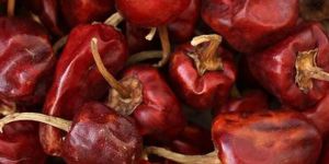 Gundu Dried Red Chilli