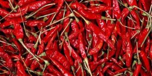 Sannam Dried Red Chilli