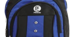 Stylish School Backpack