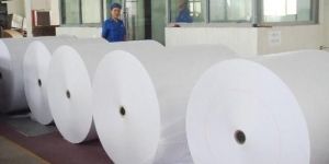 Silicone Coated Release Paper Roll