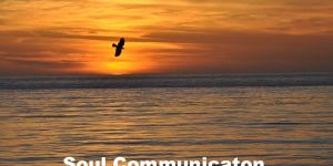 Soul Healing Services