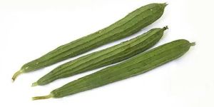 Fresh Ridge Gourd