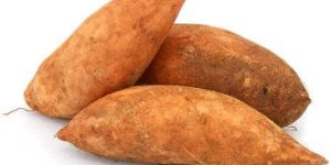 Fresh Sweet Potato
