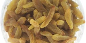 Long Raisins