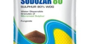 Sudozar 80 Fungicide