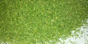 SVM MORINGA TEA CUT LEAVES