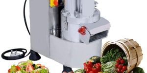 Vegetable Cutting Machine