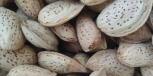 Paper Shell Almonds