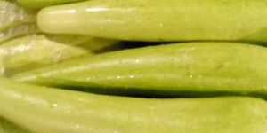 Fresh White Long Bottle Gourd