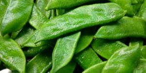 Green Hyacinth Beans