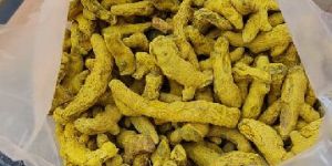 Hybrid Turmeric Finger