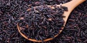 Manipuri Black Rice
