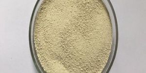 Xylanase Enzyme Powder