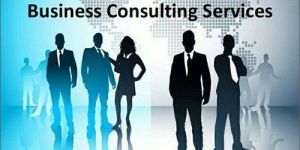 Business Consulting Services