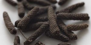 Long Pepper