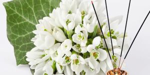 Mogra Incense Sticks