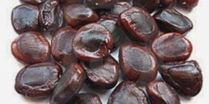 Tamarind Seeds