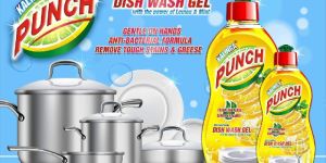 LIQUID DISH WASH GEL