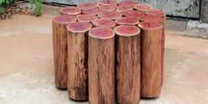 Eucalyptus Wooden Logs