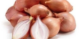 Fresh Shallot Onion