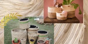 Banana Fiber Tree Planter