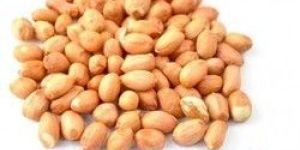 Groundnuts / Raw Peanuts