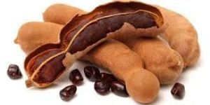 Tamarind Seeds
