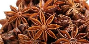 Vietnam Autumn Star Anise